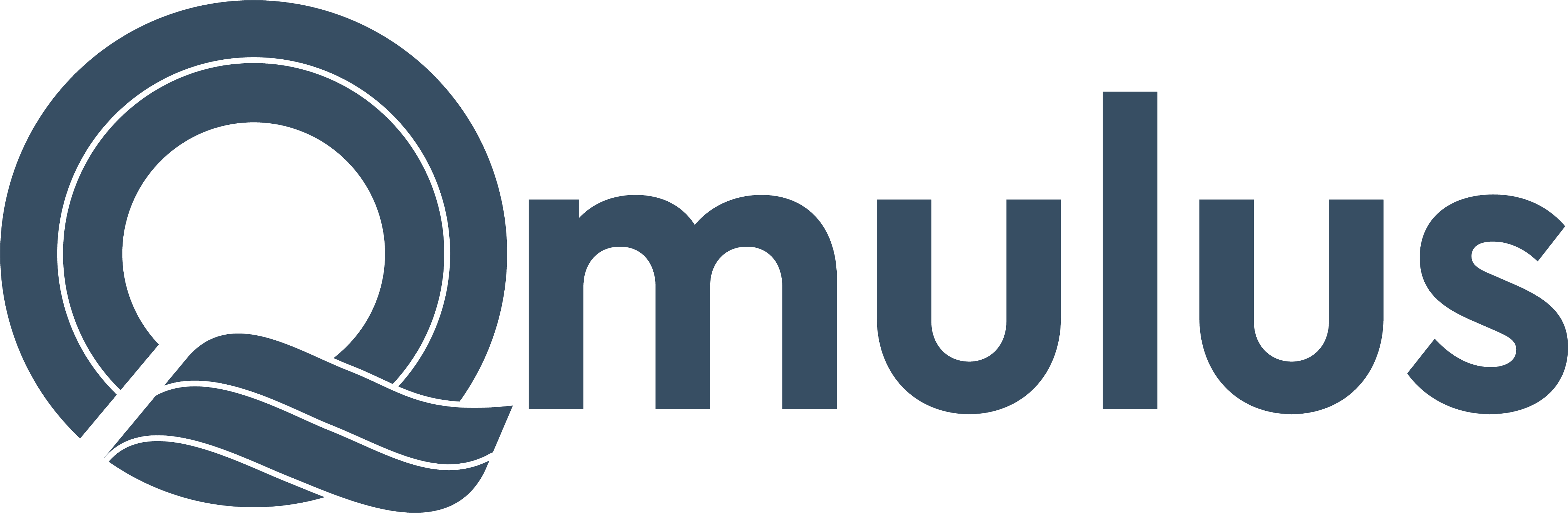 Qmulus Solutions